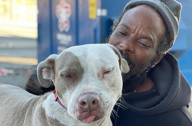 "Schutzengel": Ein Obdachloser riskierte sein Leben, um 16 Hunde und Katzen aus einem brennenden Tierheim zu retten