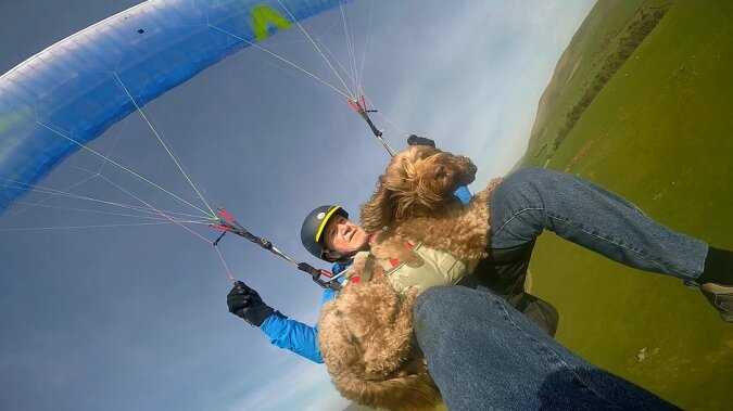 "Hund-Fallschirmspringer": Ein Mann nimmt seinen Hund auf allen Flügen mit, der Hund "flog" mehr als 20 Mal