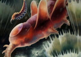 Vor Millionen von Jahren verschwundene Kreaturen. Quelle: sciencealert.com