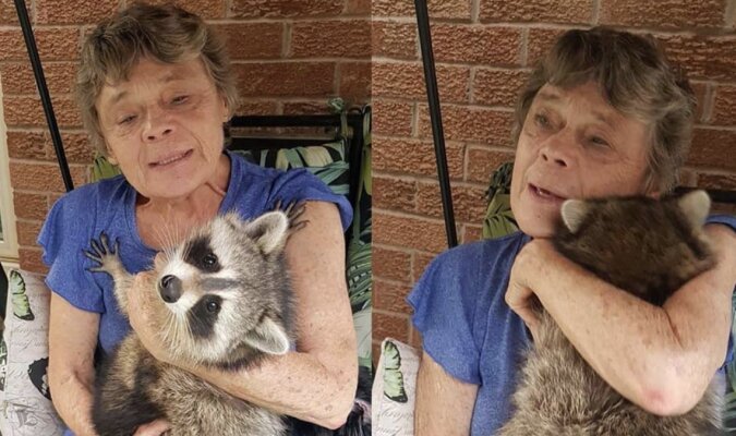 Eine Frau rettete einen winzigen Waschbären, der in einem Tierheim verlassen wurde und das Tier will sich von ihr nicht trennen