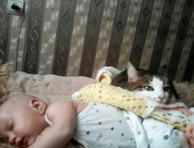 Mary hat die Katze und die Kätzchen vor dem Einschlafen bewahrt, jetzt bewacht diese Katze ihre Tochter