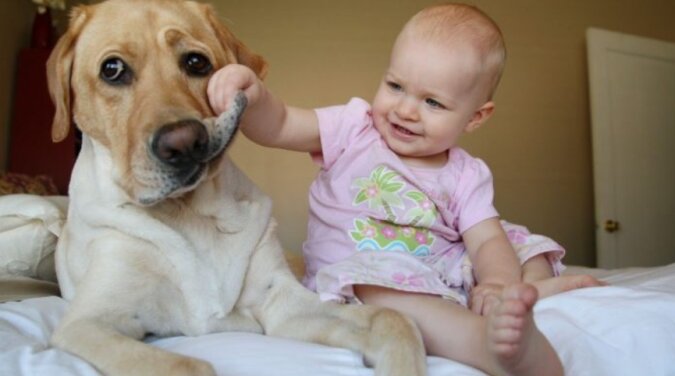 Treue Freunde: Bilder von Babys und ihren Haustieren