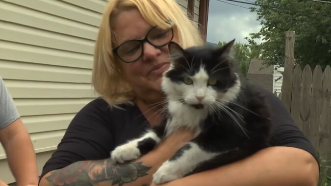 Eine Katze hat ein Jahr lang Nachbarn "bestohlen" und jetzt will ihre Besitzerin ihnen die Beute zurückgeben