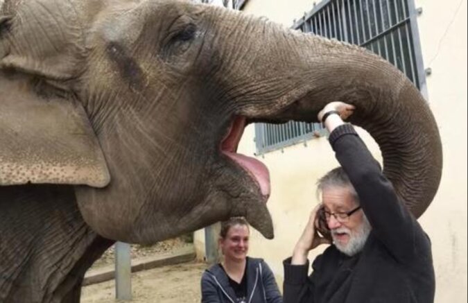 Nach 30 Jahren Trennung erkannte der Elefant den Mann, der ihn pflegte, wieder