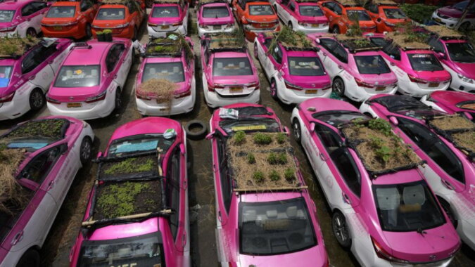 Autos mit den Gärten auf den Dächern. Quelle: apnews