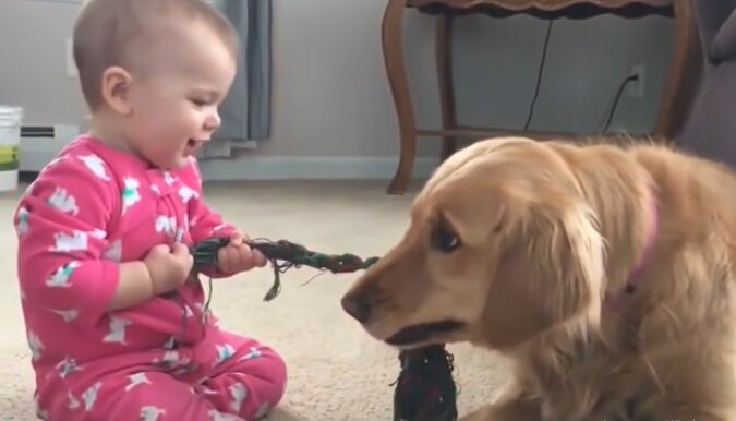 Hund und Baby. Quelle: YouTube Screenshot