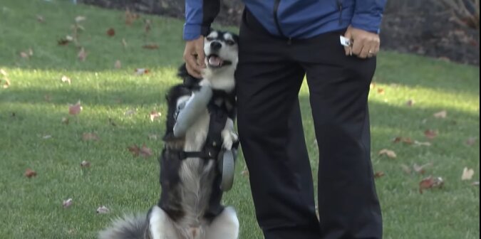 Hund und Mann. Quelle: Screenshot YouTube