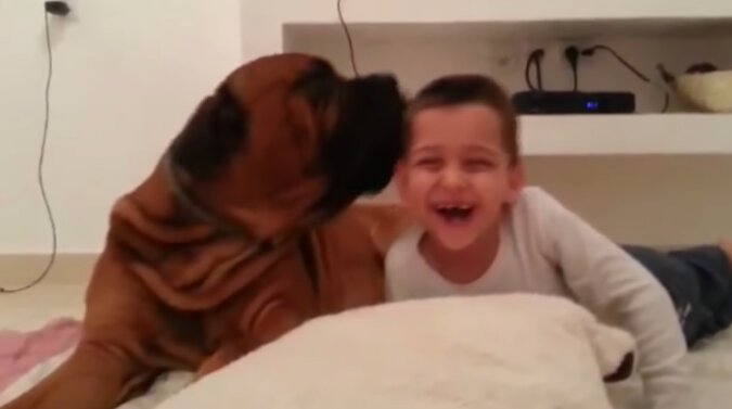 Hund und Kind. Quelle: Screenshot YouTube