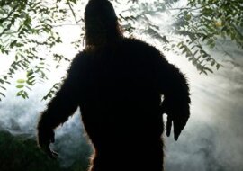 Bigfoot-Jäger glauben, dass sie in einem "historischen Kampf" getötet wurden. Quelle: Getty Images