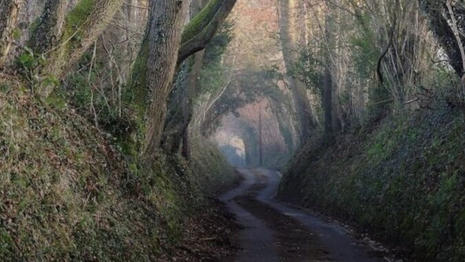 Die Straße in Wadhurst, England. Quelle:FraserElliot/flickr.com