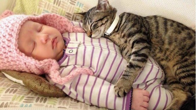 "Ordnung halten": Das Kätzchen schützt das Baby immer und überwacht seine Sicherheit