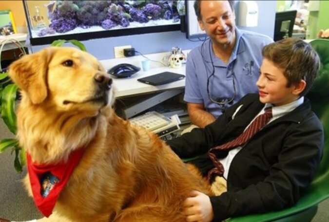 Der Zahnarzt beruhigt die Kinder mit Hilfe des Hundes