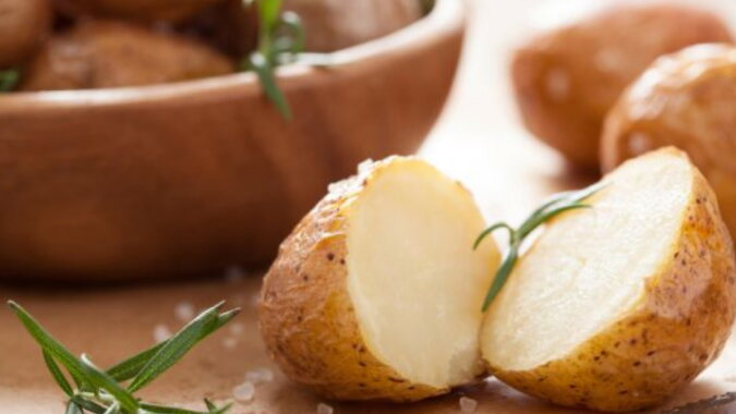 Kartoffeln. Quelle: aif.com