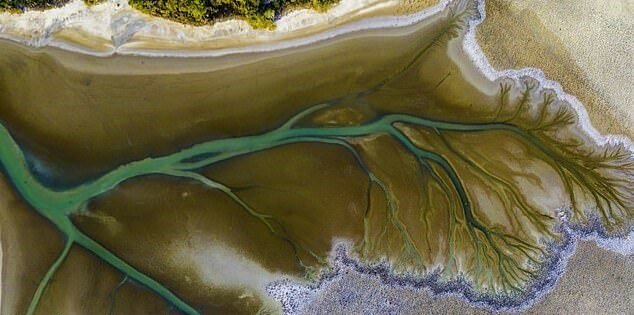 "Kunst der Natur": Worin das Geheimnis des erstaunlichen baumförmigen Musters besteht, das auf dem Fluss erschien