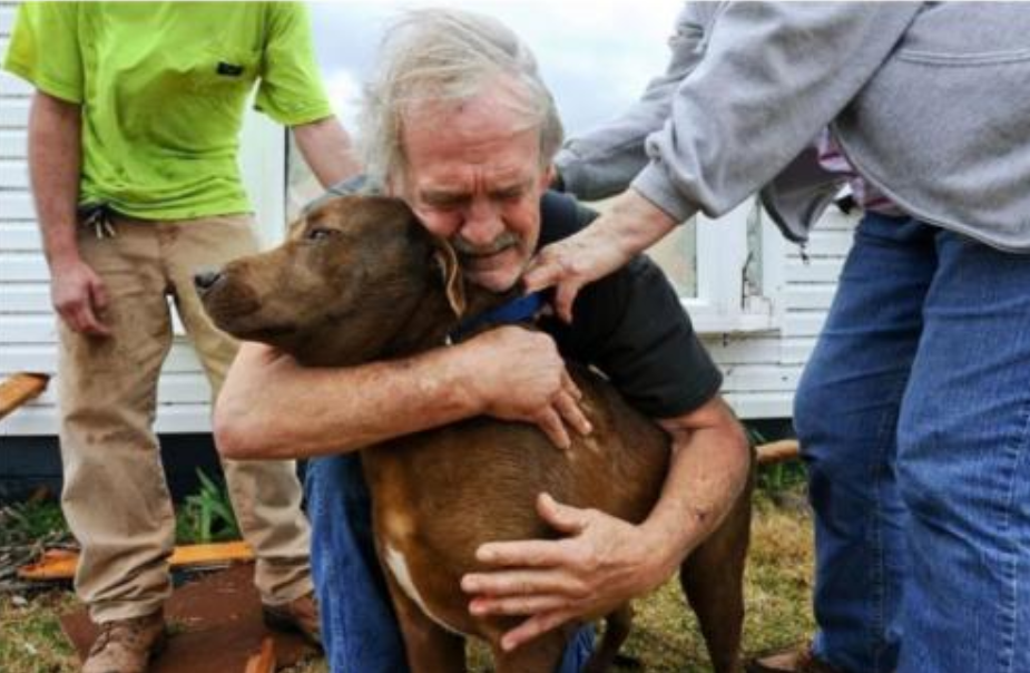 Ein Mann rettete seinen kranken Hund, aber dazu musste er die